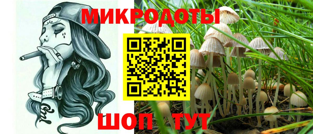 Псилоцибиновые грибы MAGIC MUSHROOMS  Вход с VPN  Сызрань 